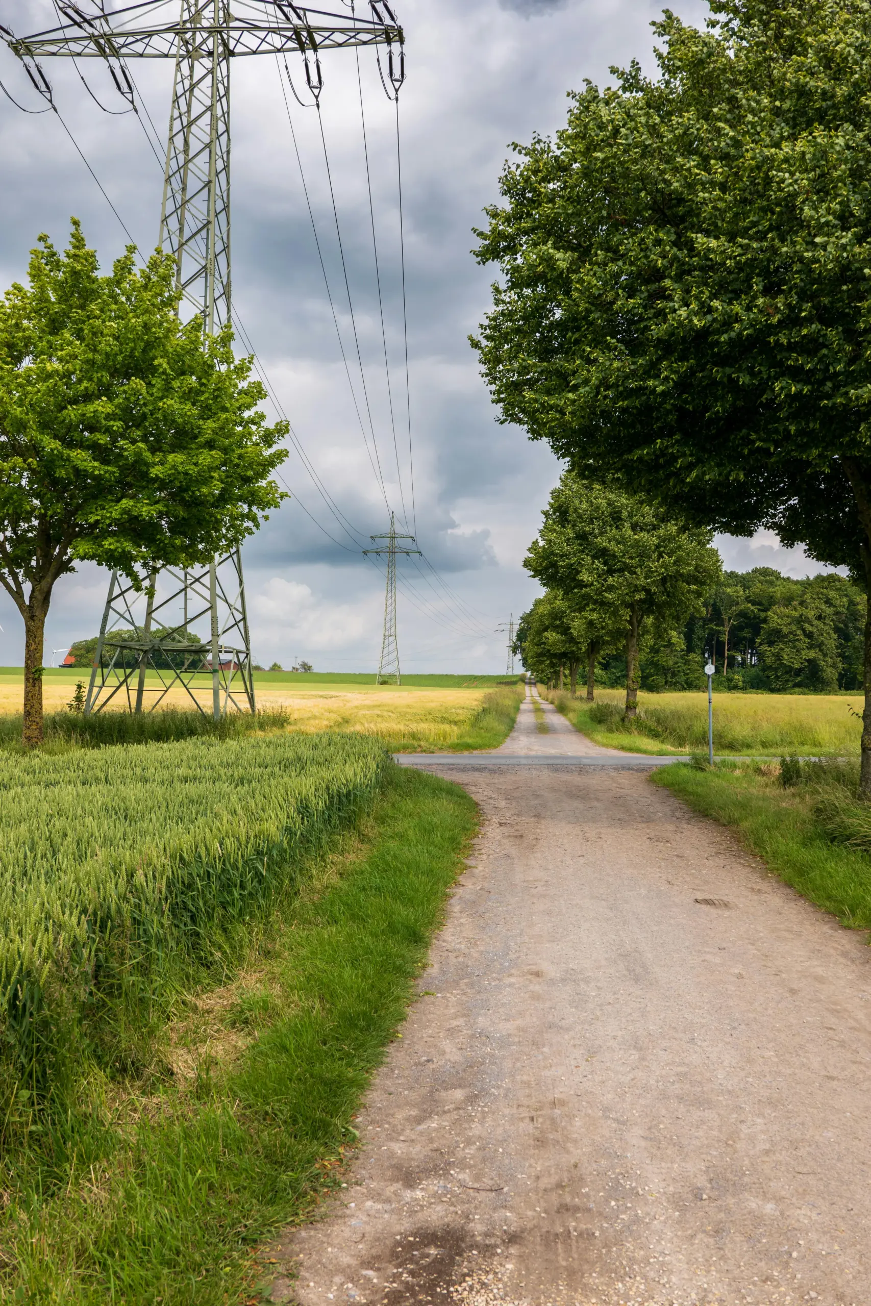 pexels-strannik-sk-32584484